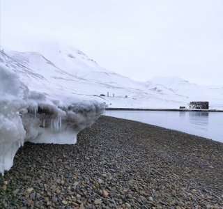 Hiorthamn Discover Svalbard