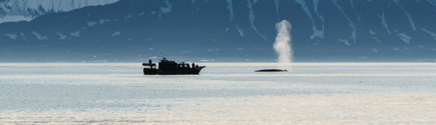 Closed RIB boat in Isfjorden under the midnight sun, surrounded by Arctic fjord landscapes and mountains in Svalbard