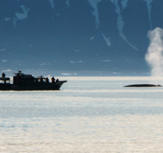 Closed RIB boat in Isfjorden under the midnight sun, surrounded by Arctic fjord landscapes and mountains in Svalbard