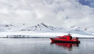 Discover Svalbard Local Agent Snowfox Travel Spitsbergen Book Activity Whale Watching Boat Trip Safari Glacier Northernmost (4)